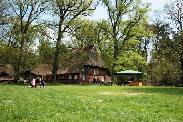 Ehrhorner Spurensuche im Waldpädagogikzentrum, © R.Baumgart NLF, Bgt_NLF
