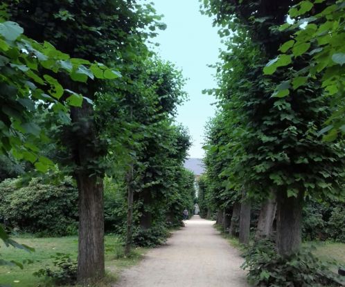 Wohlerspark im Sommer 2018, &copy; St. Pauli-Archiv