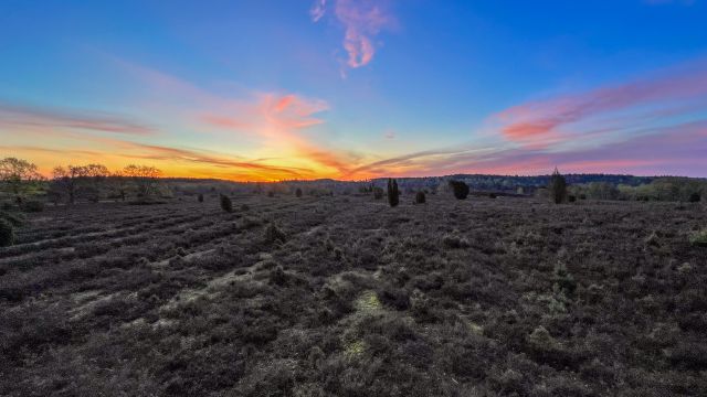 Mitten durch das Naturschutzgebiet Lüneburger Heide - vom Fürstengrab bis Wilsede, © Bispingen Touristik e.V., Dominik Marwede