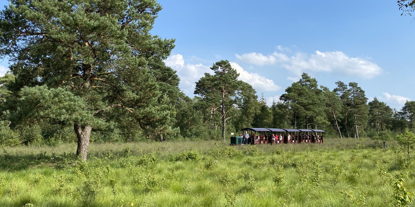 R&auml;tselspa&szlig; am Ostersonntag im Tister Bauernmoor, &copy; Ingrid Krause