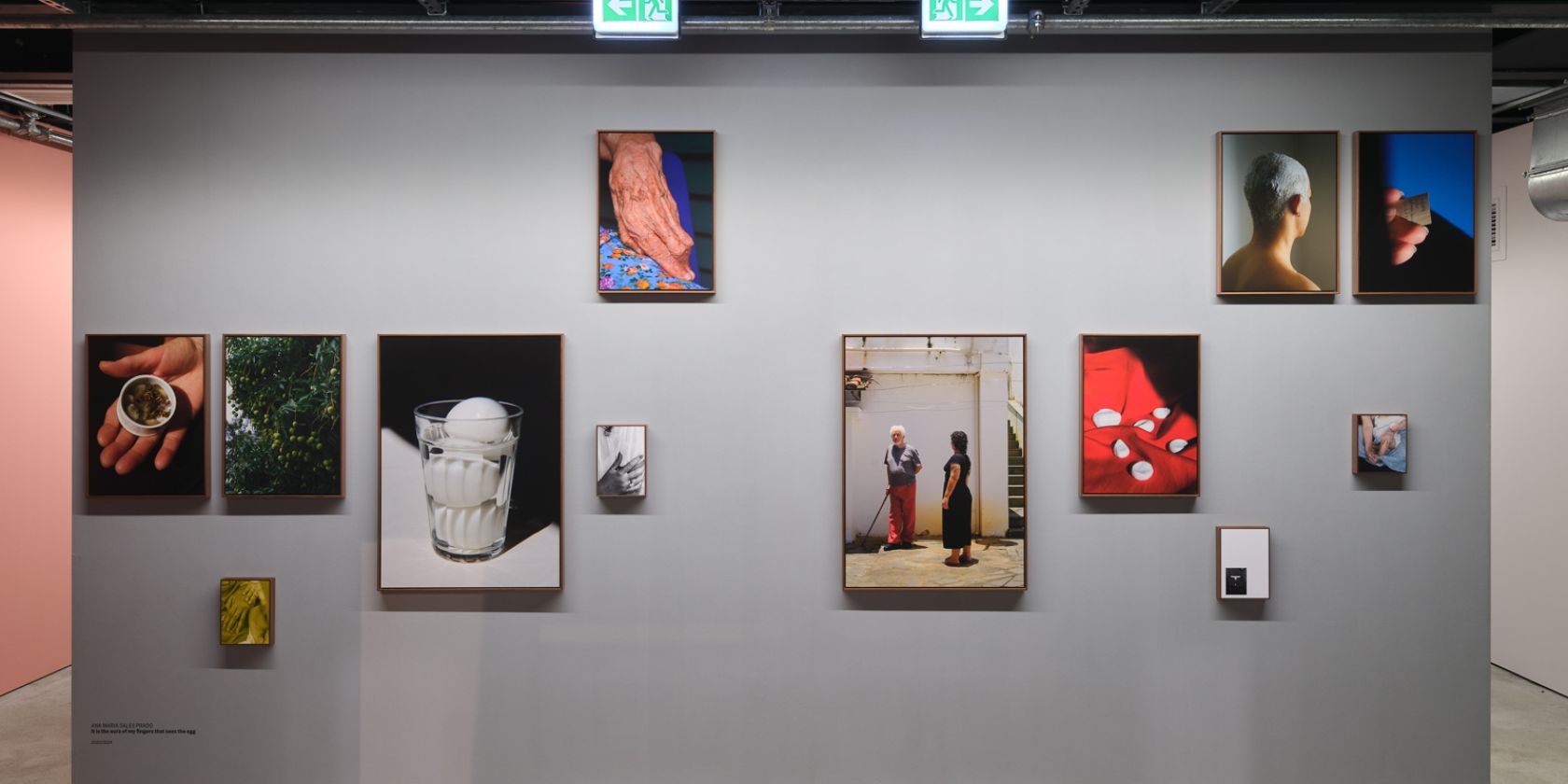Ana Maria Sales Prado, It is the aura of my fingers that sees the egg, Ausstellungsansicht States of Rebirth, © Henning Rogge