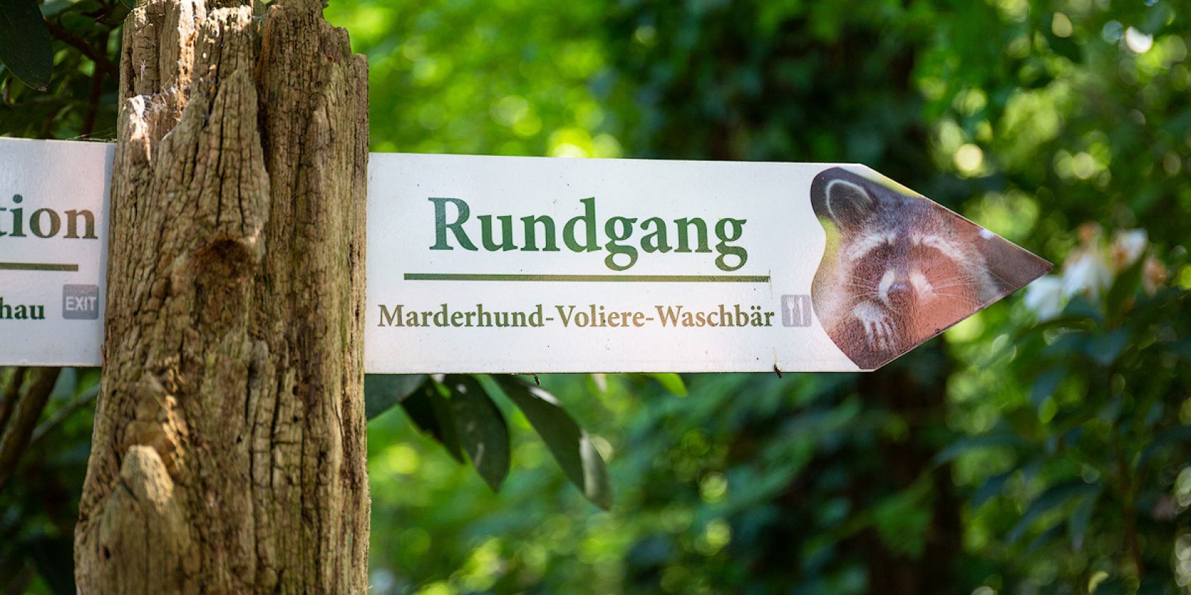 Rundgang im Wildpark Müden, © Thorsten Link
