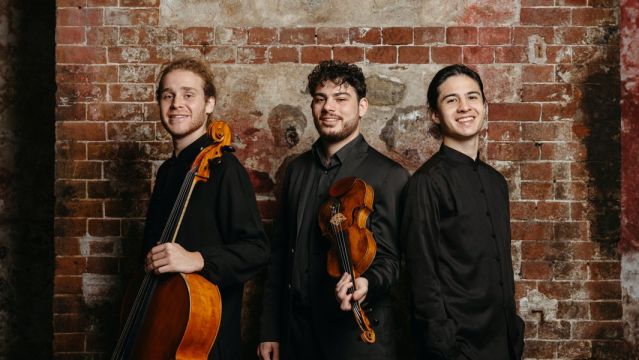 Trio Concept, &copy; Luigi de Palma