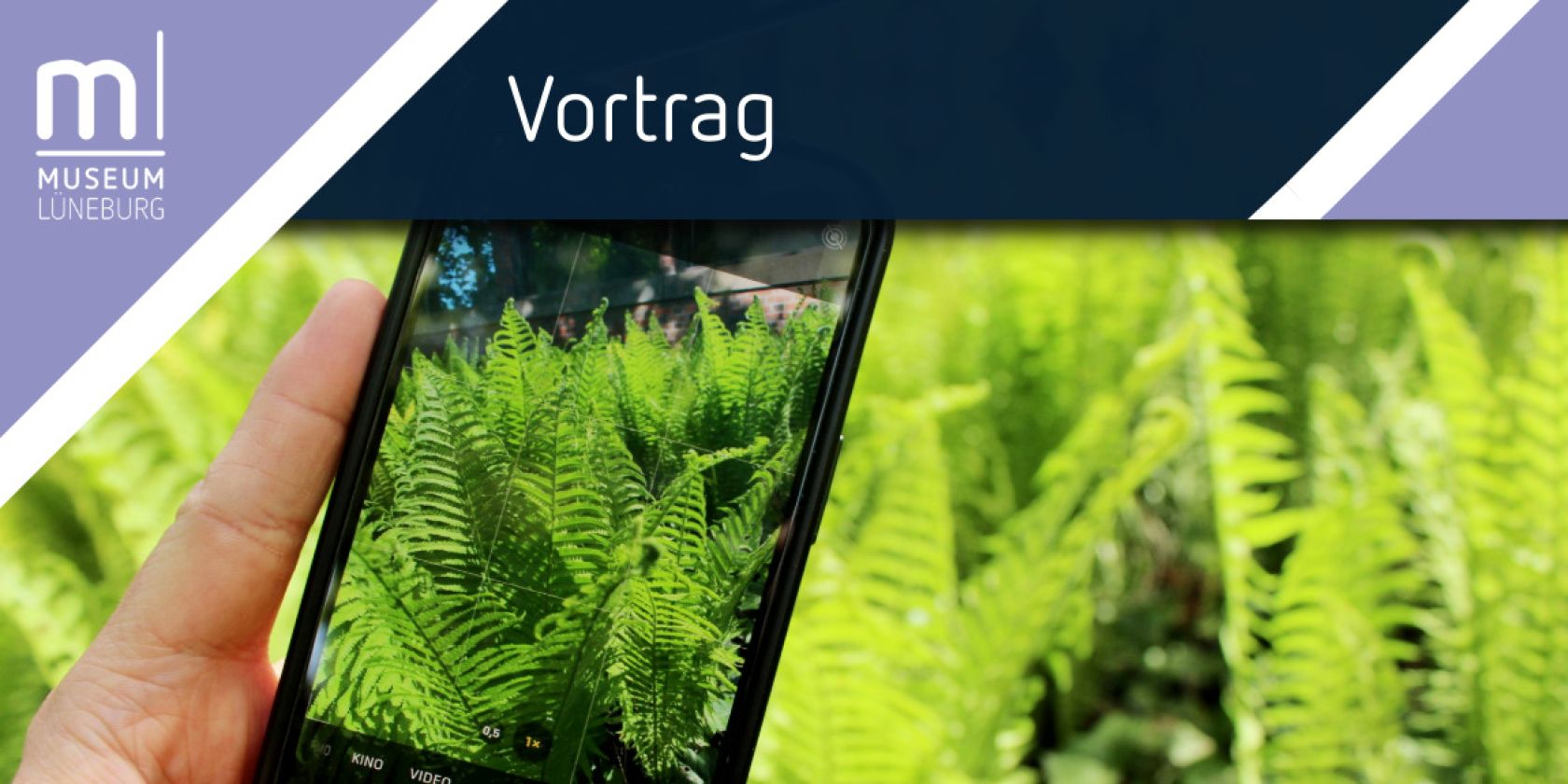 Vortrag: Insekten per App bestimmen, © Museum Lüneburg