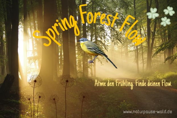 Waldbaden im Fr&uuml;hling