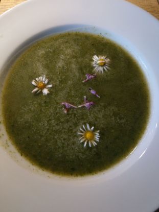 Grüne_neune_Suppe, © Lilli Albrecht