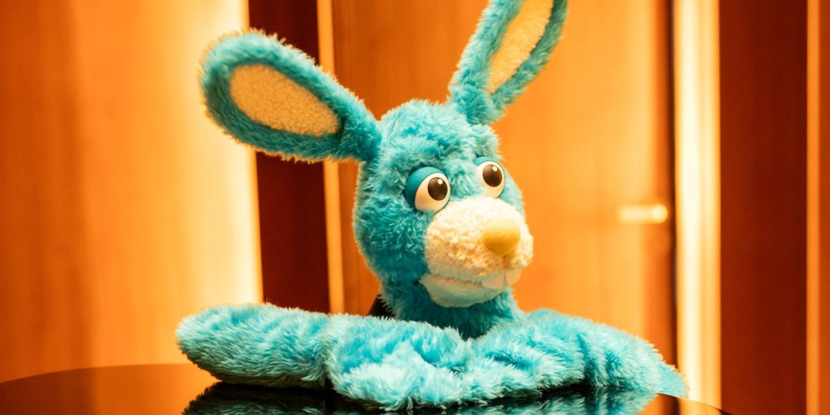 Hasi-Konzert, &copy; Cove Nouveau