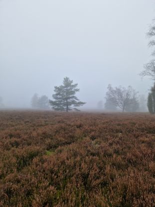 Herbststimmung, © Sabine Pf.-G.