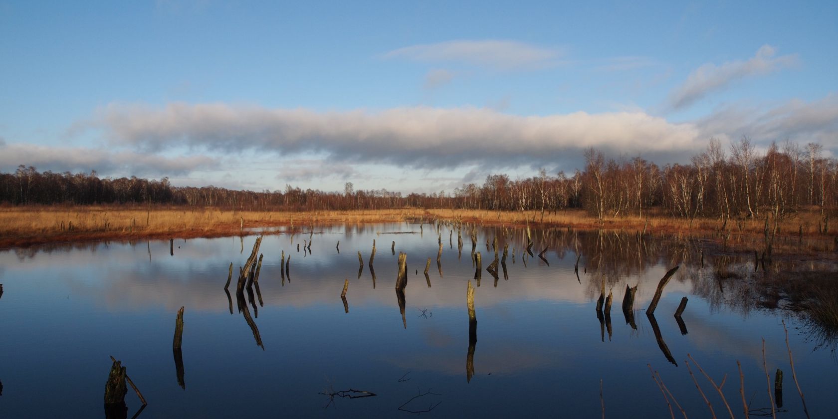 Foto_Wittmoor_(c)_Axel_Jahn-min, © Axel Jahn