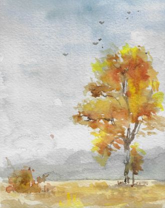 Herbstwald, © Mary-Lou Ploß/Bergedorfer Museumslandschaft