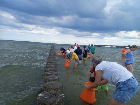 Aquaskop: Entdecke die Unterwasserwelt der Ostsee, &copy; Caf&eacute;Mehlbeere