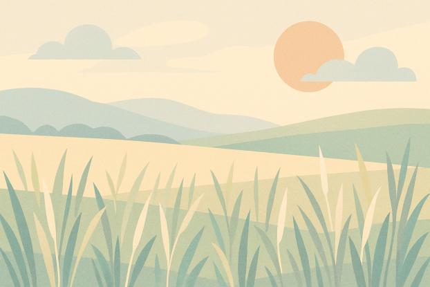 Symbolbild Wiese – Naturnahe Illustration, © Hamburg Tourismus