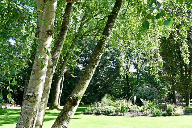 Grillabend im Amtsgarten Dorum, © B. Ulich