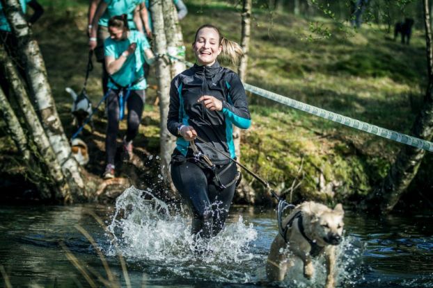 Camp Canis goes Wingst 8.0, &copy; Donna Luettjen Photography