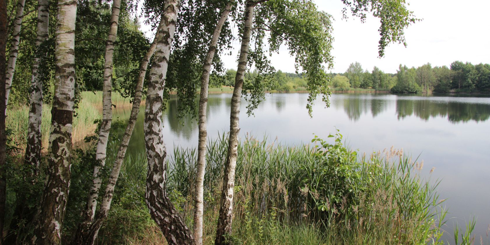 25-05-17_NABU-Pressemitteilung-Wanderung-Hermannsburg-Oldendorf, © Jürgen Eggers