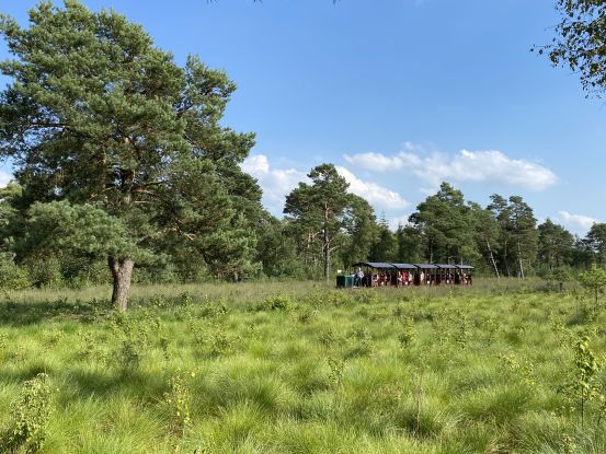 Moorbahnfahrt durch das Tister Bauernmoor, © Erika Jaschinski/Touristikbüro SG Sittensen