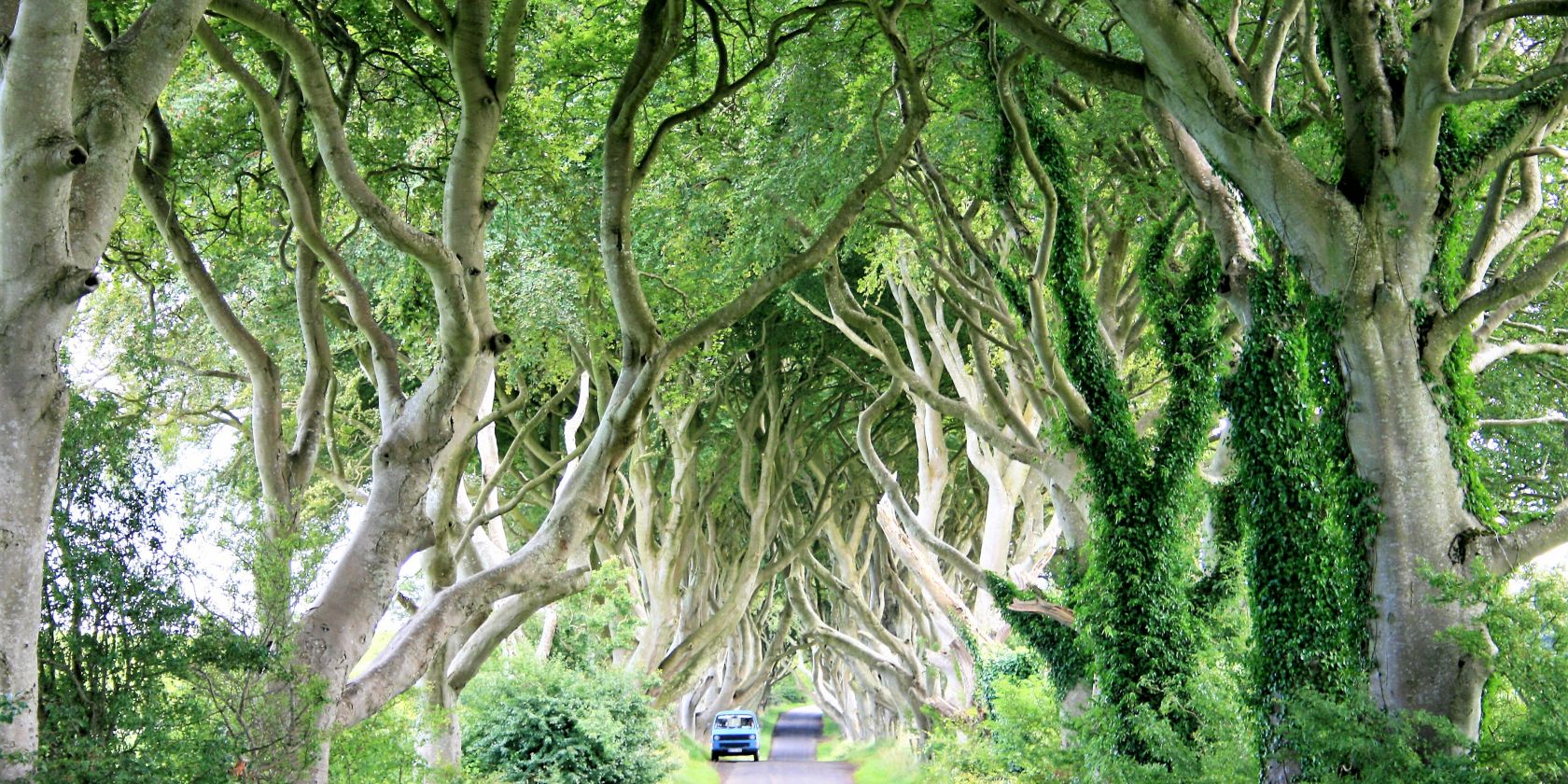 Oliver L&uuml;ck Aufmacher, &copy; kub