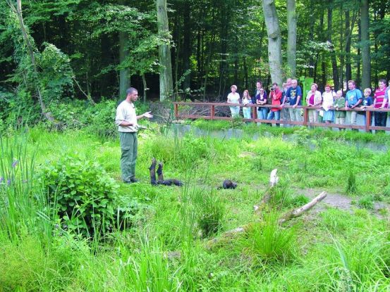 Iltis-Schaufütterung im OTTER-ZENTRUM, © Aktion Fischotterschutz e.V.