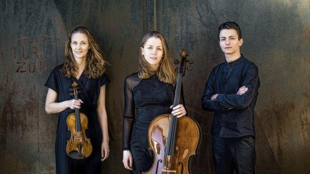 Orchester der Universit&auml;t zu L&uuml;beck / Amelio Trio, &copy; Irène Zandel