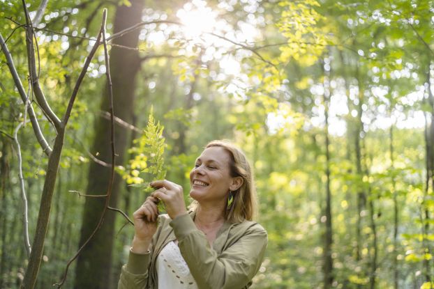 Waldbaden in Hamburg und Schleswig-Holstein mit Waldimpuls-Hamburg, &copy; Xenia Bluhm