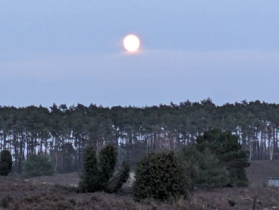 Vollmond üder der Heide, © Detlef Grimm