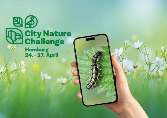 260326_cnc-news, &copy; Adobe Stock