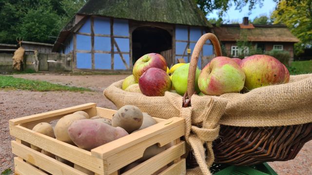 "Apfel- und Kartoffeltag" im Freilichtmuseum am Kiekeberg, &copy; Freilichtmuseum am Kiekeberg