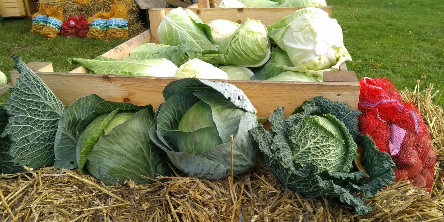 Wochenmarkt, &copy; Dithmarschen Tourismus