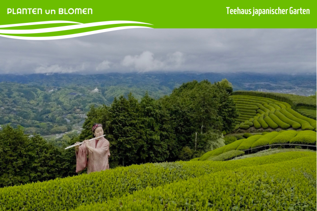 Vorlagen PuB Veranstaltungskalender (40), &copy; Mengqi Wang