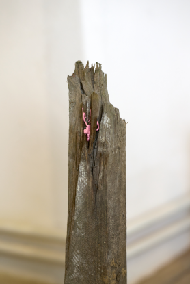 Stammb&auml;ume, Detail, 2025, &copy; Rahel Bruns; Foto: Till Steinbrenner