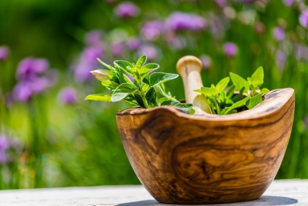 Kr&auml;uterwanderung, Quelle: Reservix