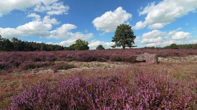Wandern mit dem TuS Bodenteich, &copy; Kurverwaltung bad Bodenteich , T. Nowotny