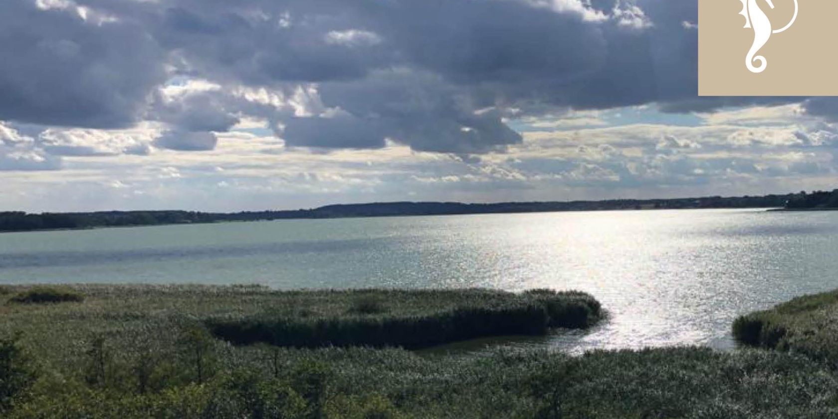 Fischwanderung, &copy; TSNT GmbH