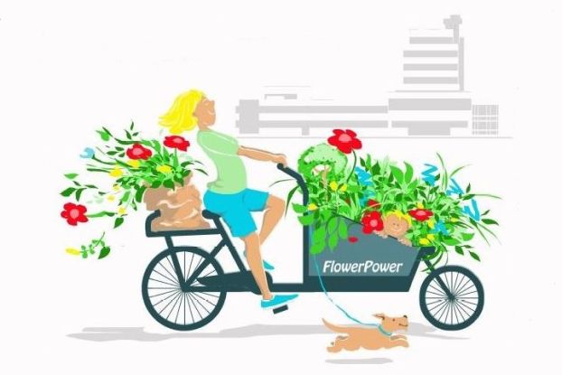 26-09-20 Pflanzenflohmarkt Stadt Ahrensburg, &copy; Stadt Ahrensburg