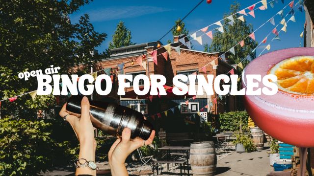 bingo-for-singles, &copy; L&uuml;ttLiv