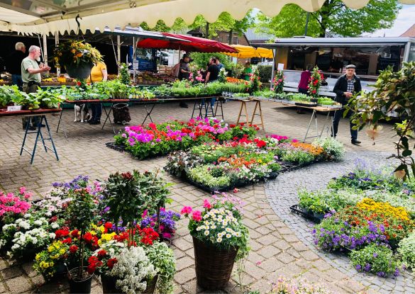 Ebstorfer Wochenmarkt, © Urlaubsregion Ebstorf e.V.