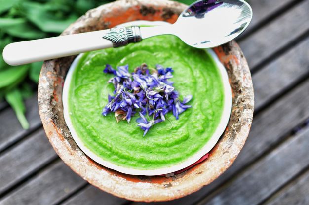 Kochen mit Wildkräutern, © Marion Putensen