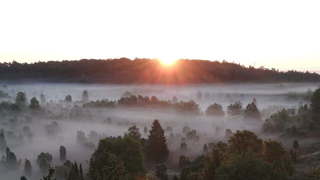 Frühwanderung zum Sonnenaufgang am Totengrund, © Bispingen Touristik/ Manfred Loos