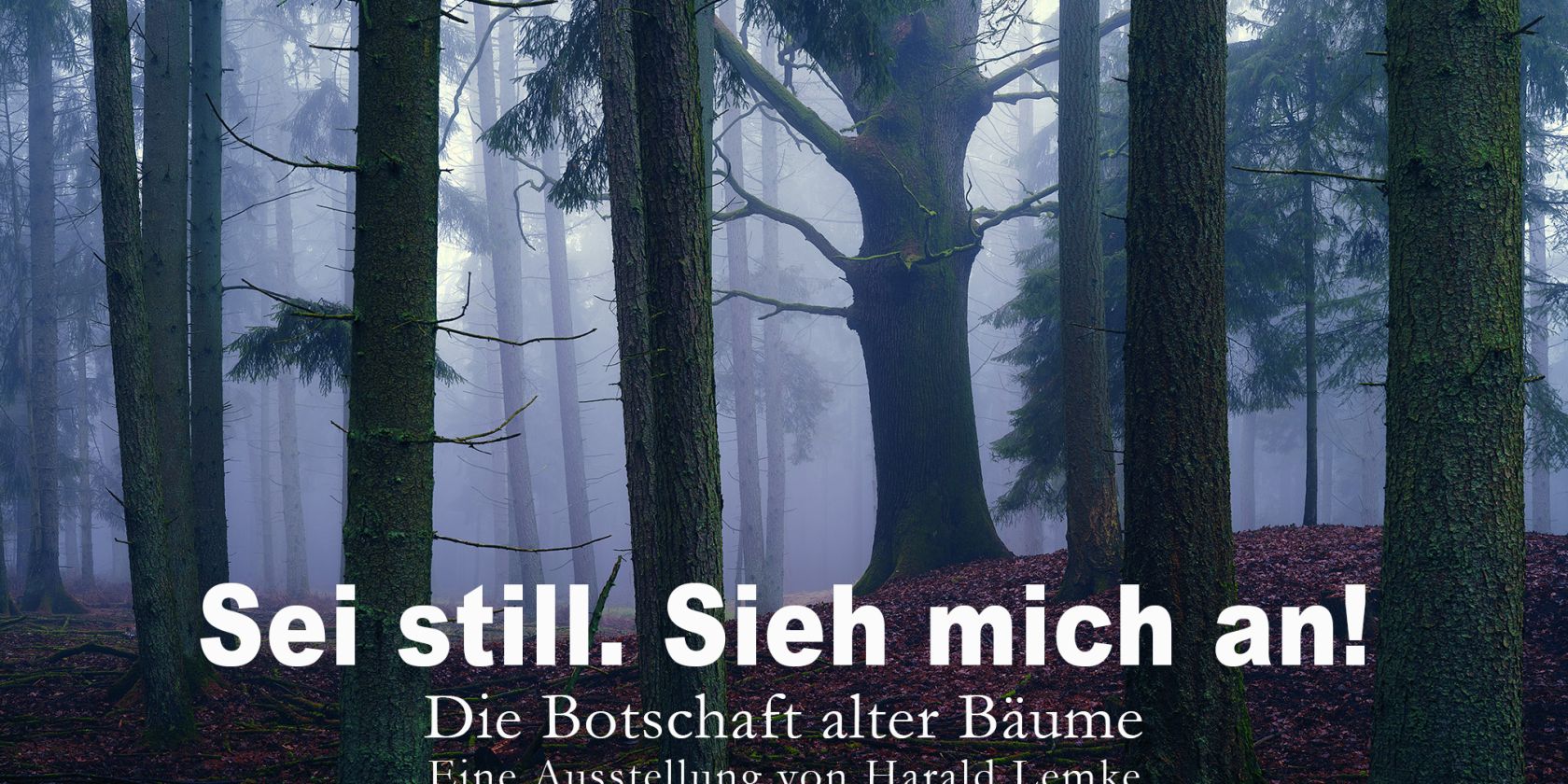 Ausstellungsplakat, &copy; Harald Lemke