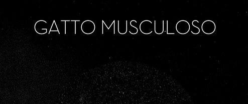 Gatto Muscoloso Poster, &copy; Phoung Dan