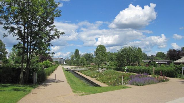 Gehölzführung im Wilhelmsburger Inselpark, © BA HH-Mitte