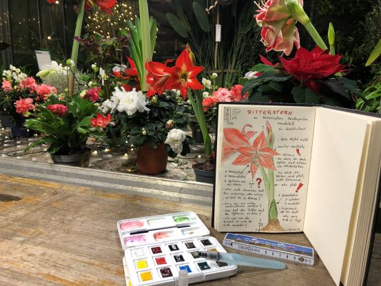 Gartenwissen @home - Garten-Klönschnack, © BIRGIT MASCH .DE