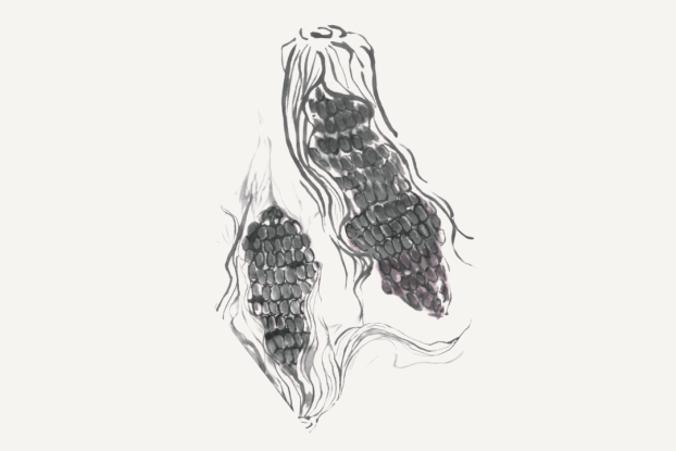FormedByNatureWebseite.png, &copy; FormedByNatureWebseite.png