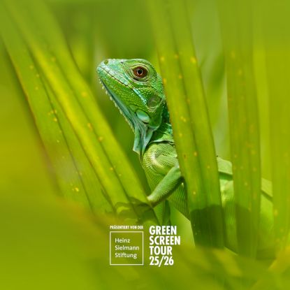 GREEN SCREEN TOUR 25/26, Quelle: Reservix