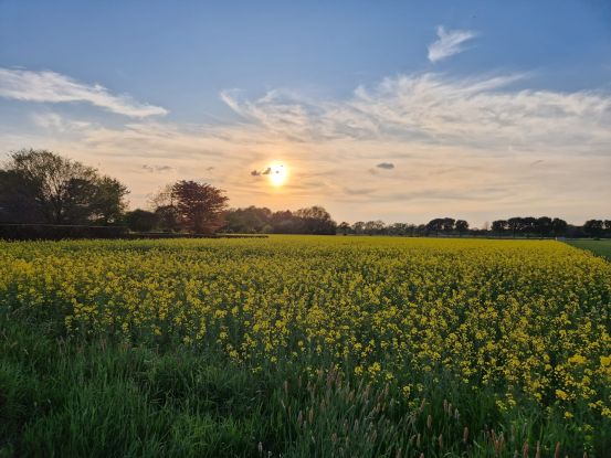 Spazierengehen gegen Einsamkeit, © M. Witt