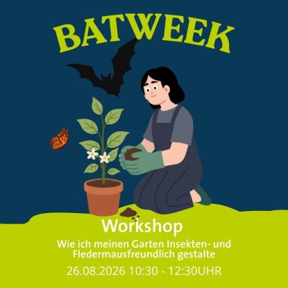 Batweek_Bat Conservation Campaign, &copy; Fledermaus-Zentrum GmbH
