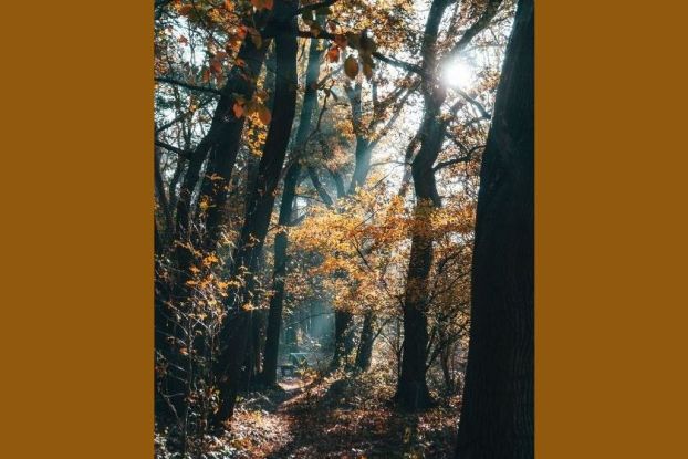 26-10-07 Wie komme ich gut durch die dunkle Jahreszeit &copy;pexels, &copy; pexels