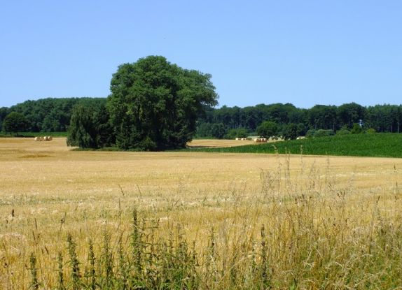 Kleine Stormarnrunde, &copy; Christian Scholz
