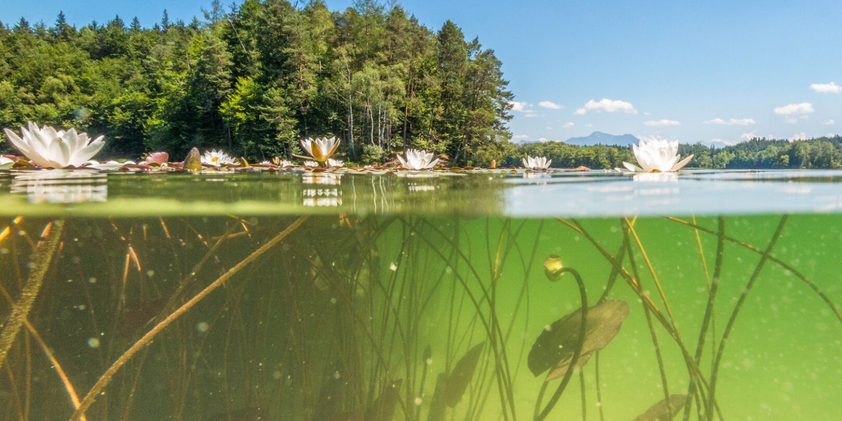 Eintauchen ins tiefe Blau, &copy; Andreas Hartl