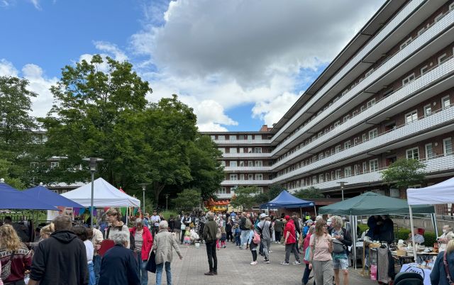 IMG_20250325_163719, &copy; K&ouml;ster-Stiftung